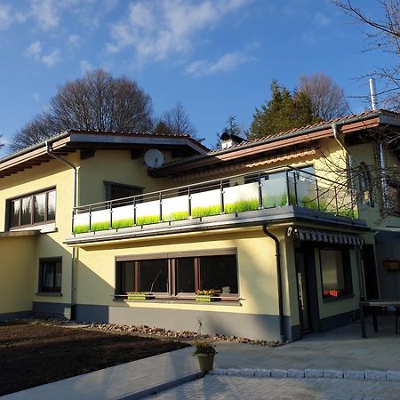 Fewo Zum Gscheiten Beck Mit Grosser Terrasse Feldberg  Kültér fotó